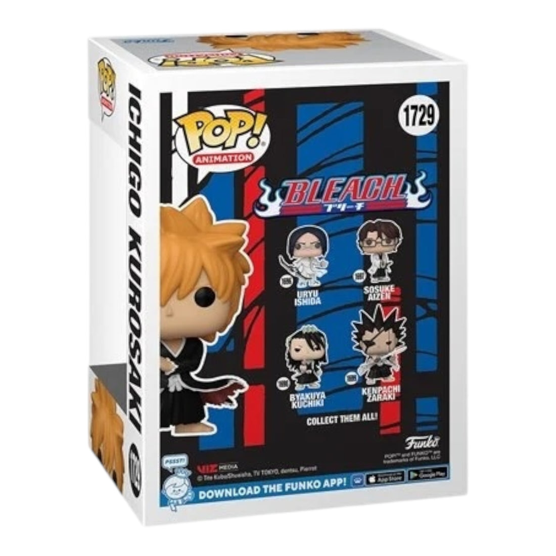 Bleach 