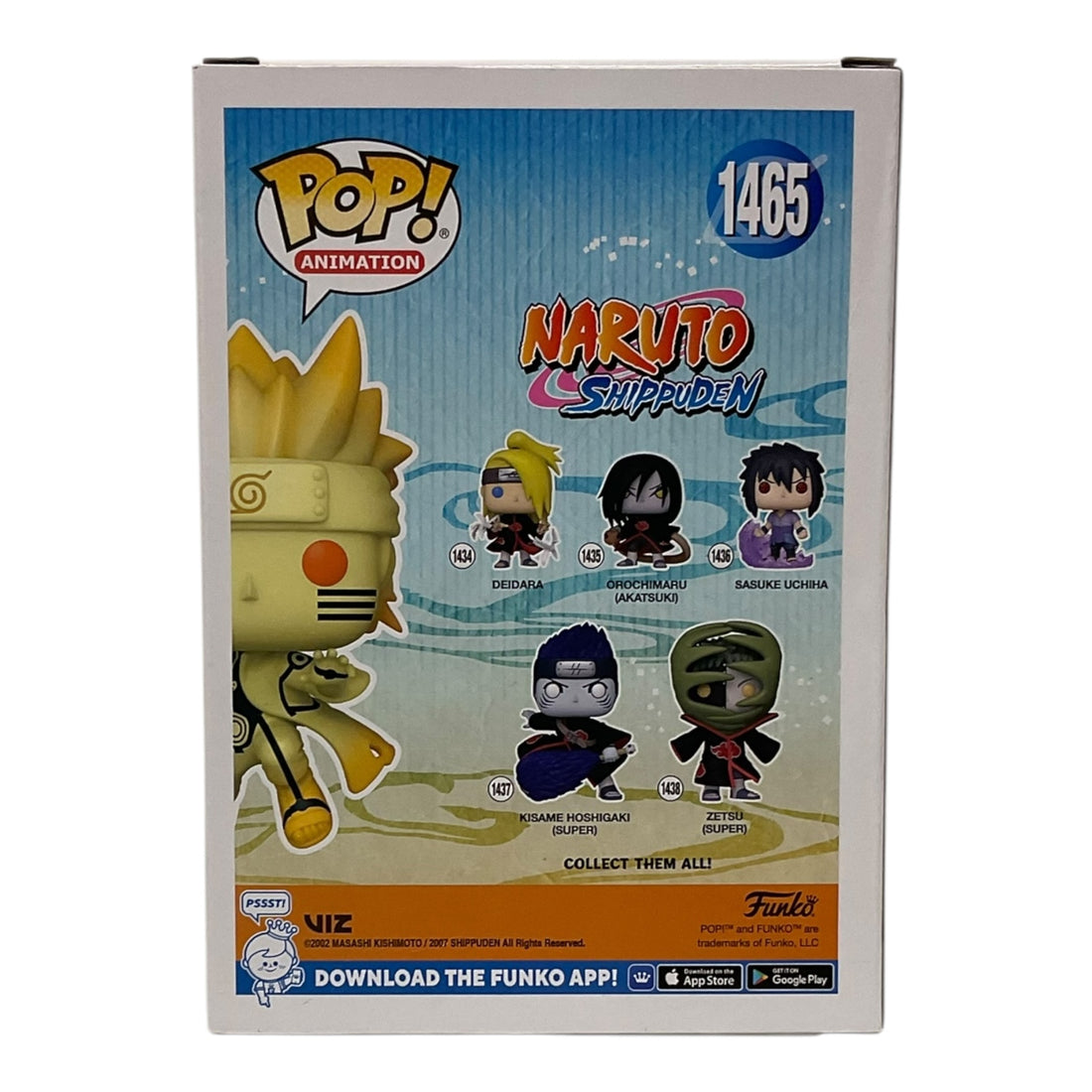 Naruto Shippuden 