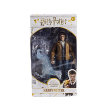 Load image into Gallery viewer, Harry Potter- Collectable Action Figure - McFarlane Toys
